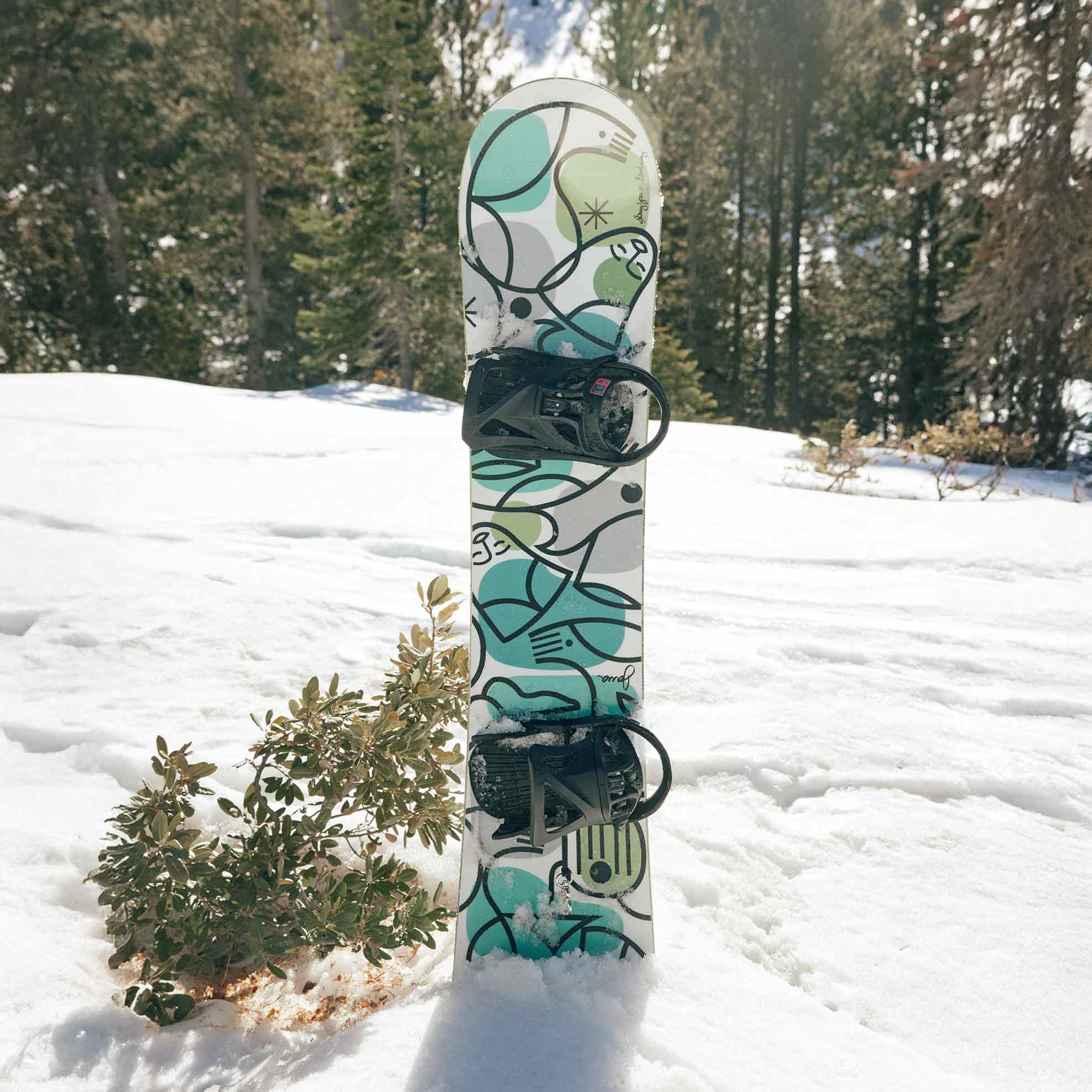 スノーボード Typewriter NEW 25-26 WRX SB スノーボード ダブルアールエックス Mk-CW マーク