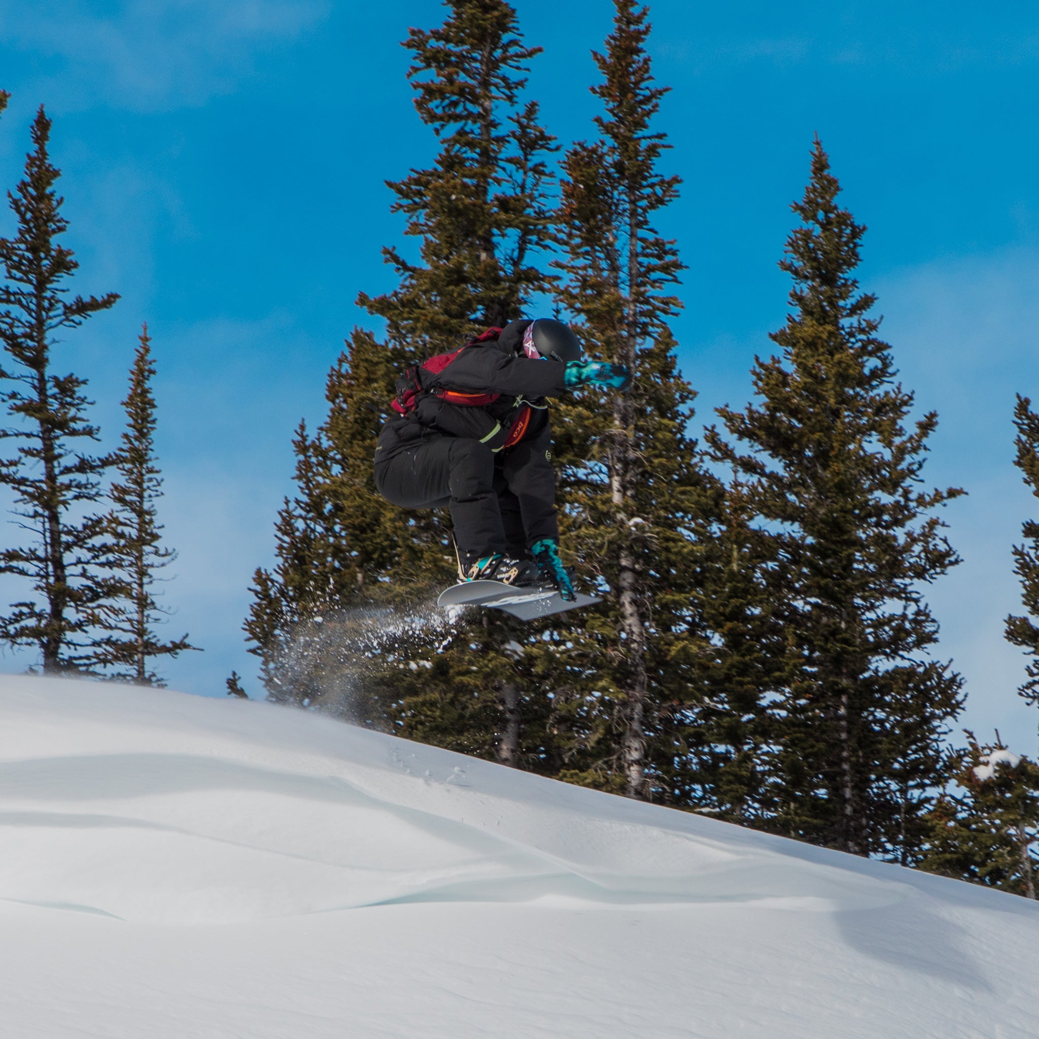 fuzz pedal II snowboard bindings universal compatibility for