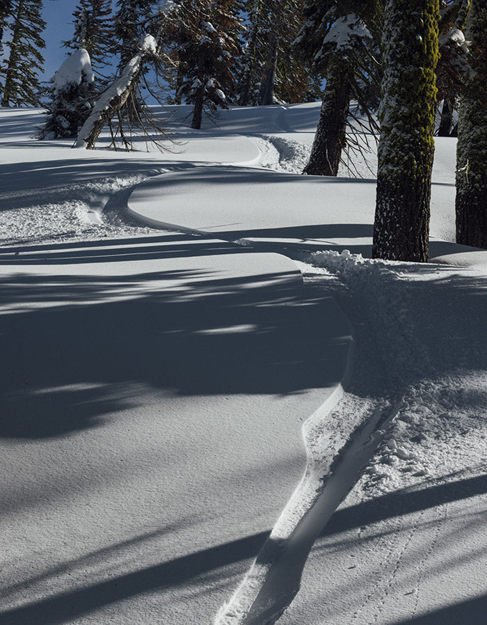 Snowboarder track through trees in bluebird conditions photo by Neil DaCosta.